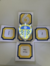 Leeds United Light Up